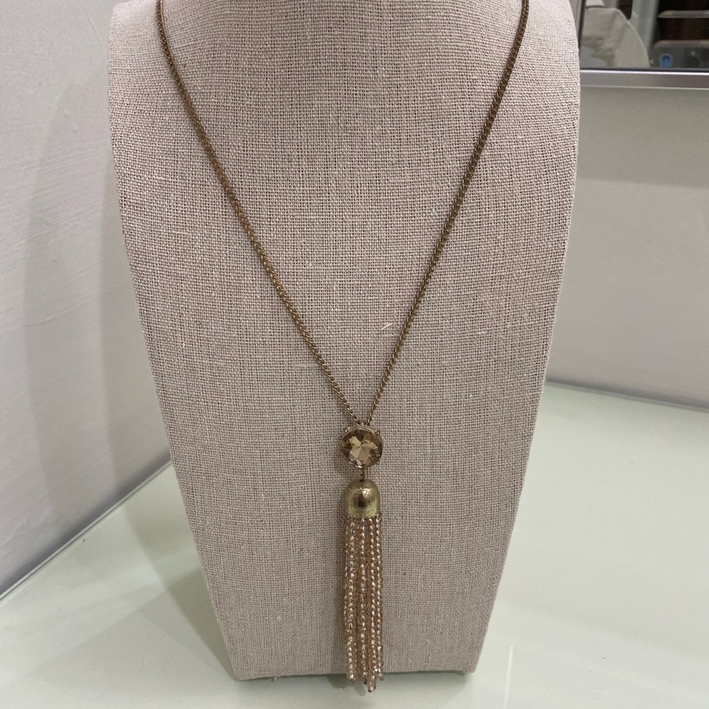 Ann Taylor loft long necklace!